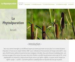 La phytoépuration : vue par les lycéennes de Grasse