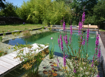 Bassins et Baignades Naturelles